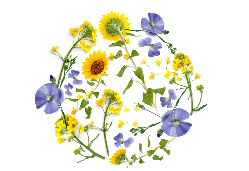 Becel duurzaam bloemen