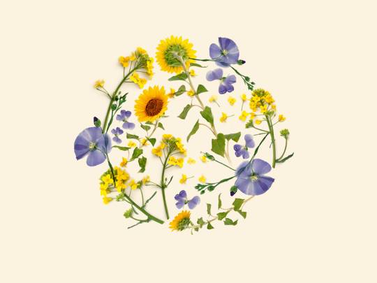 Becel-overzicht-duurzaam