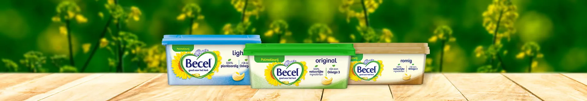 Becel à tartiner