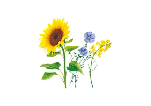 Becel-overzicht-plantaardig