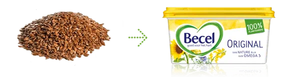 van zaadjes naar becel kuipje