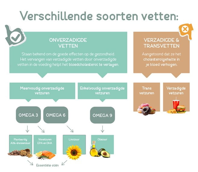 Verschillende soorten vetten