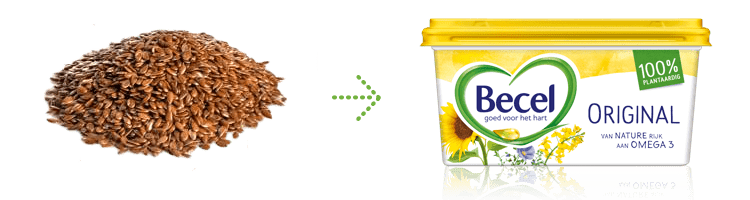 van zaadjes naar becel kuipje